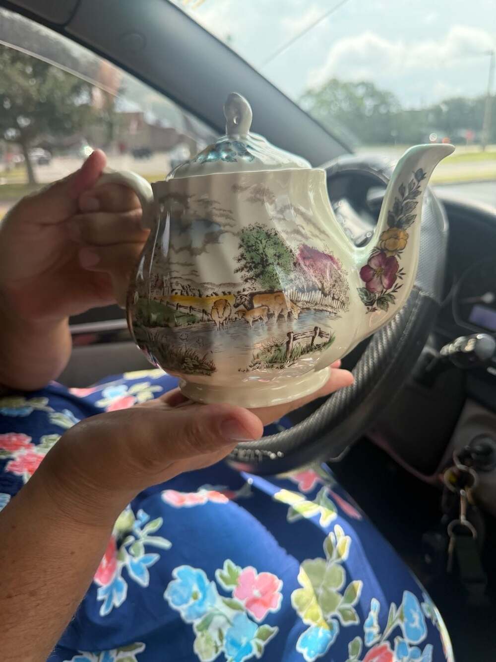Vintage Sadler Country Life Porcelain Teapot Made in England